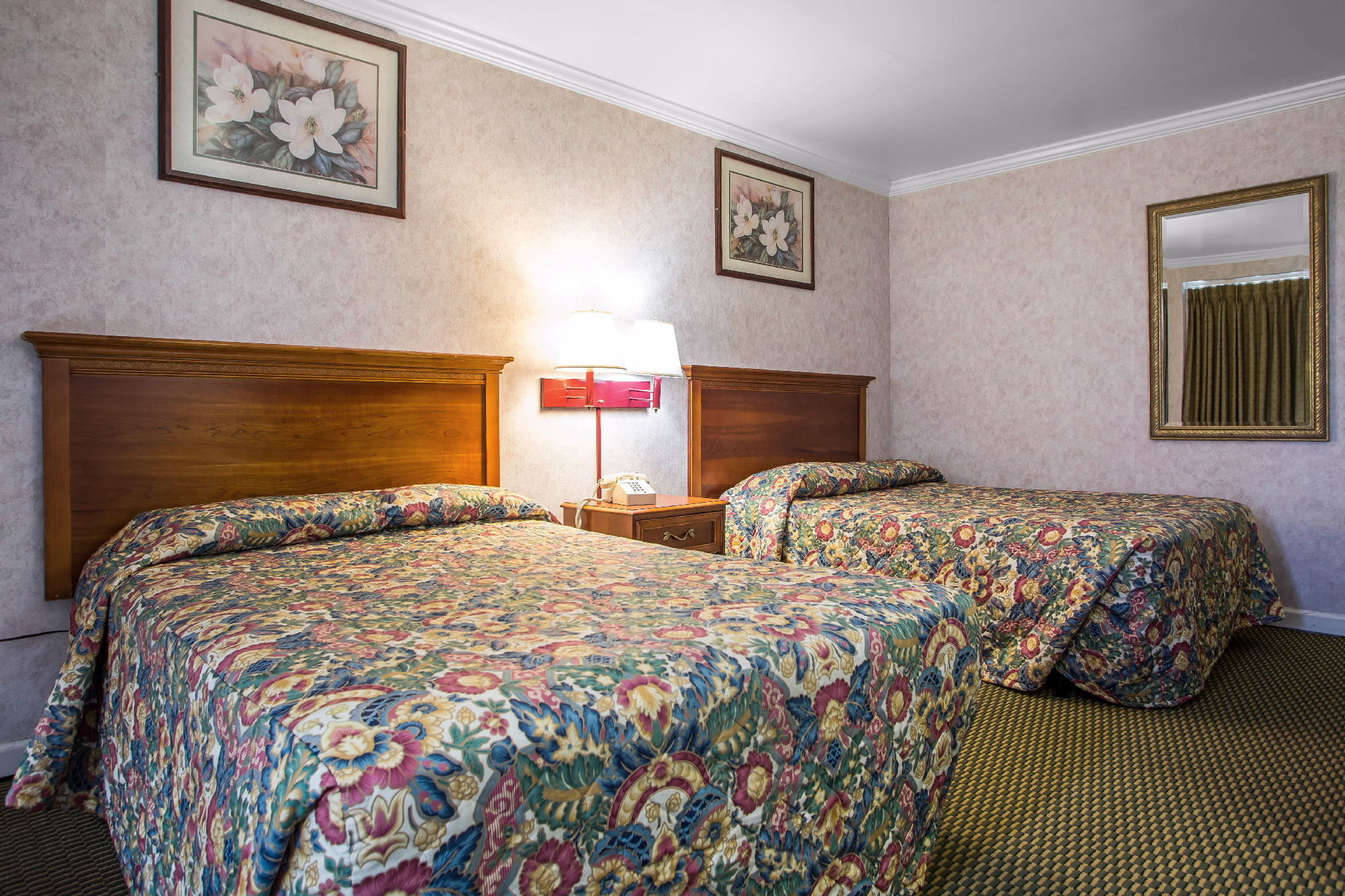 Downbeach Inn アトランティックシティー 部屋 写真